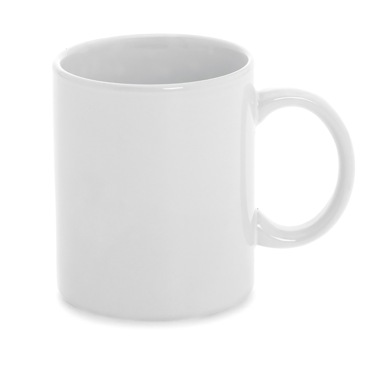 ANISEED. Tazza